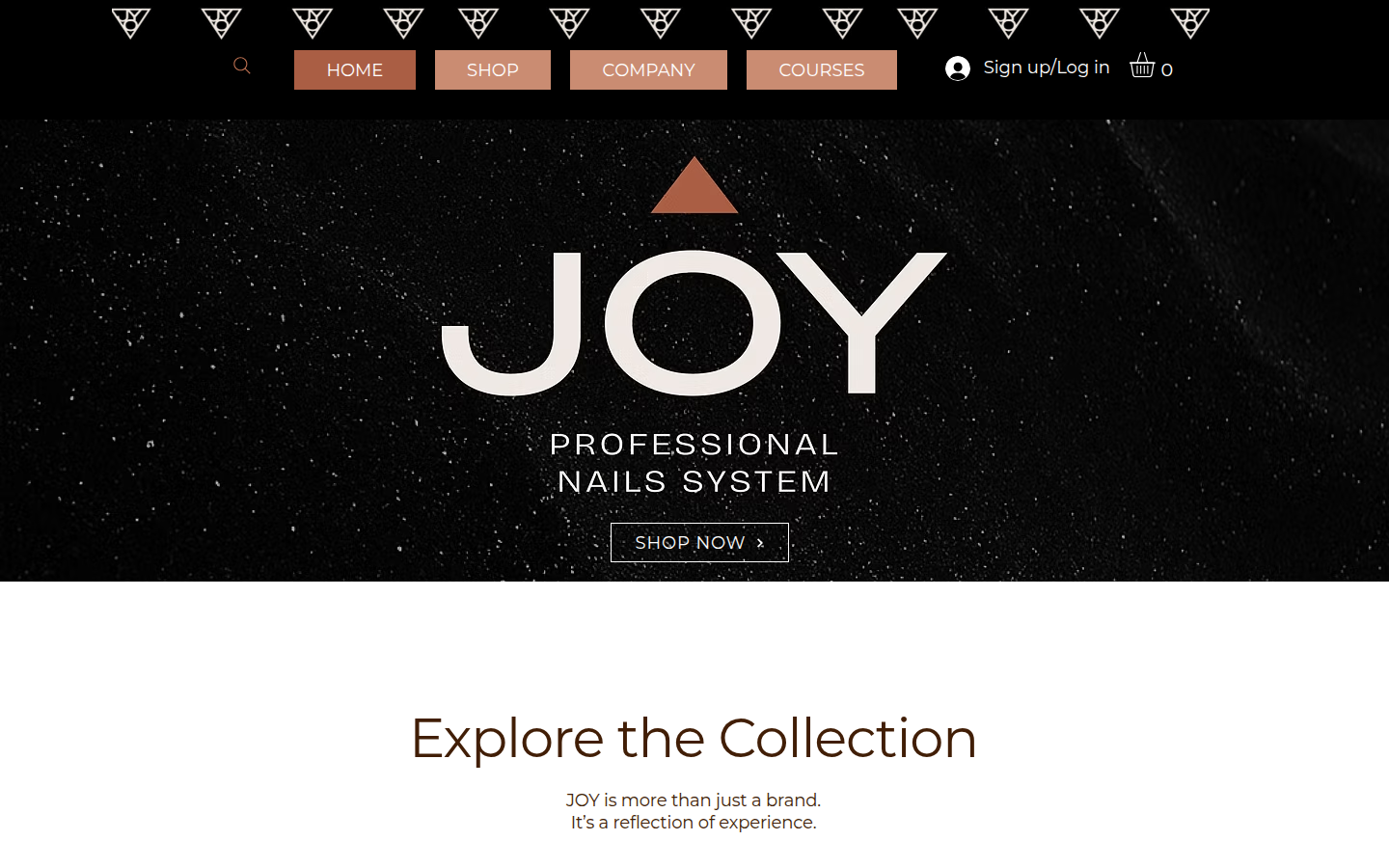 Hero section on joynailsystem.com homepage